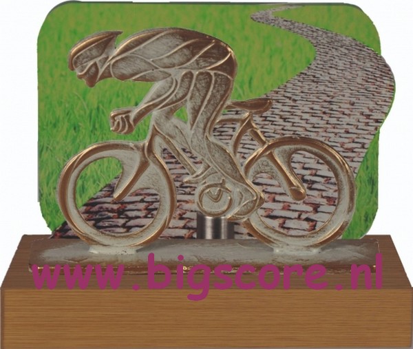 Wielrenner Metaalbeeld +Acrylachtergrond TRK791
